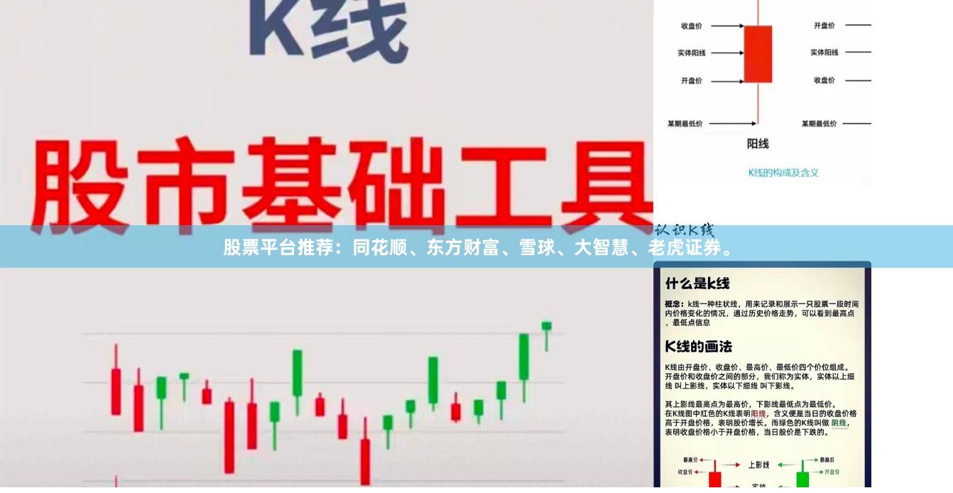 股票平台推荐：同花顺、东方财富、雪球、大智慧、老虎证券。
